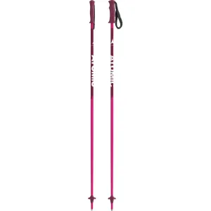 AMT Jr Ski Poles