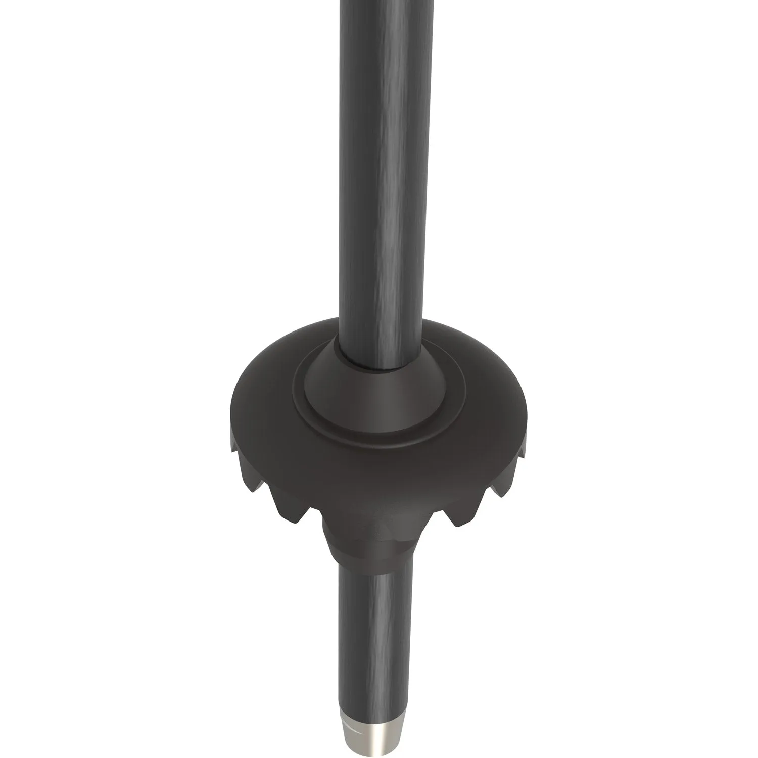 AMT Jr Ski Poles