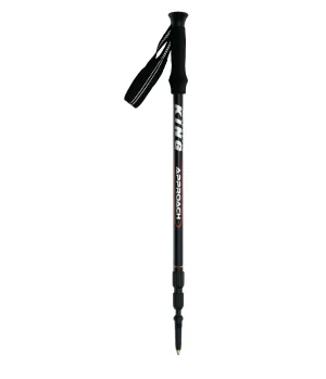 APPROACH WALKING POLE