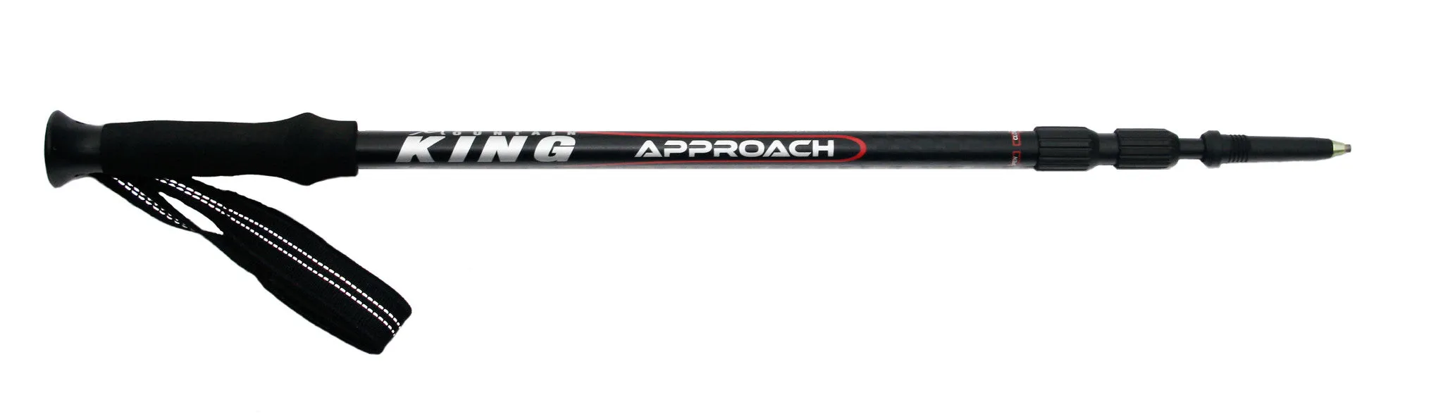 APPROACH WALKING POLE