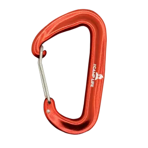 Camp Carabiner | The Camp Life