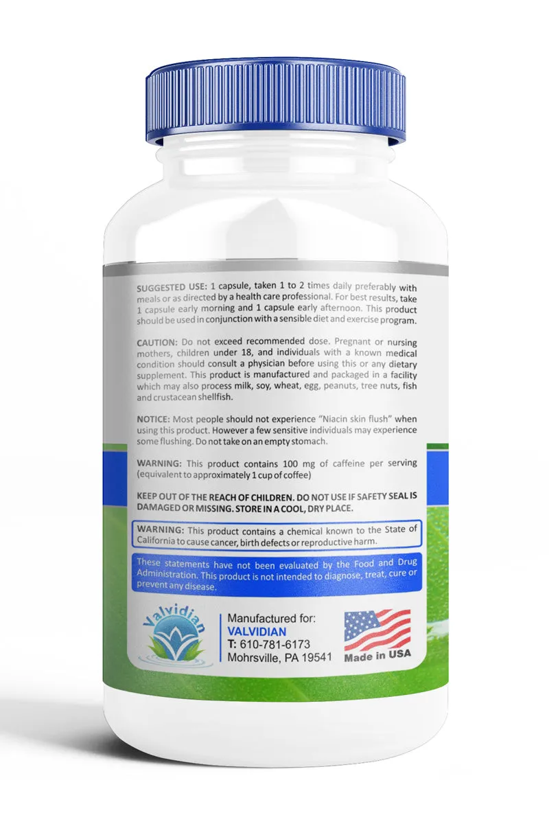 Energy Supplement