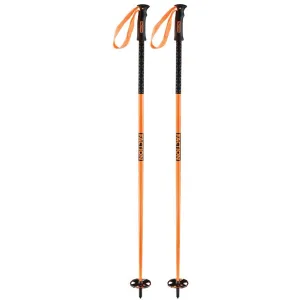 Faction Ski Poles
