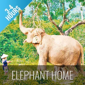 *Half Day Activity Koh Samui Elephant Home Animal Shelter
