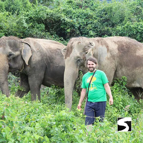 Last Minute Shore Excursion - Elephant Camp Animal Shelter Koh Samui