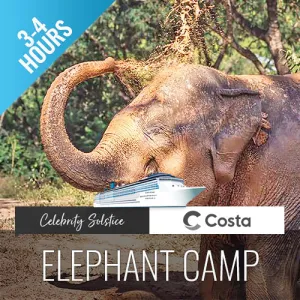 Last Minute Shore Excursion - Elephant Camp Animal Shelter Koh Samui