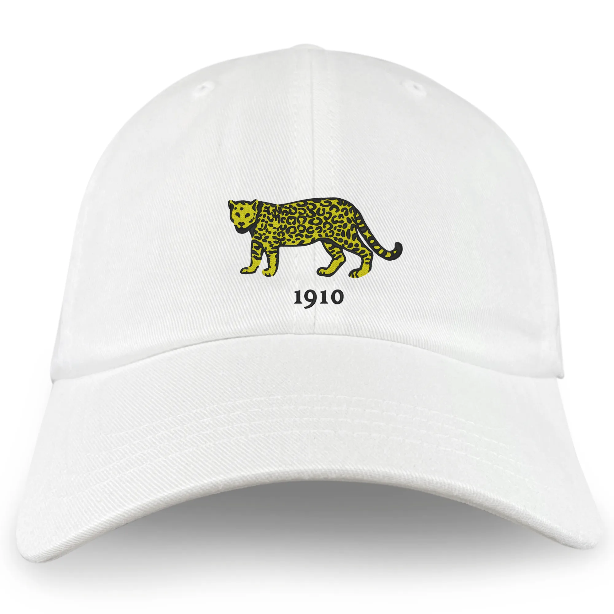 Nations of Rugby Argentina Vintage Dad Cap