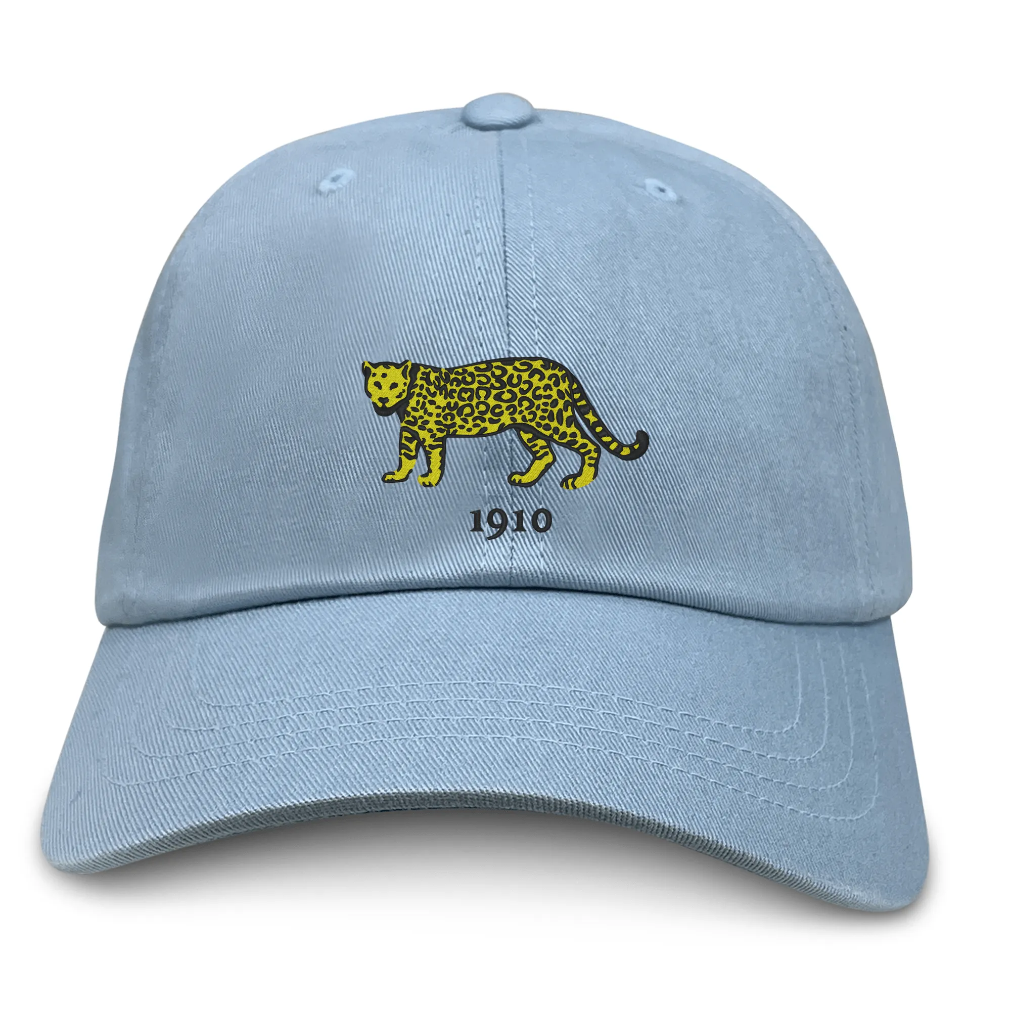 Nations of Rugby Argentina Vintage Dad Cap