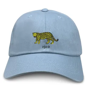 Nations of Rugby Argentina Vintage Dad Cap