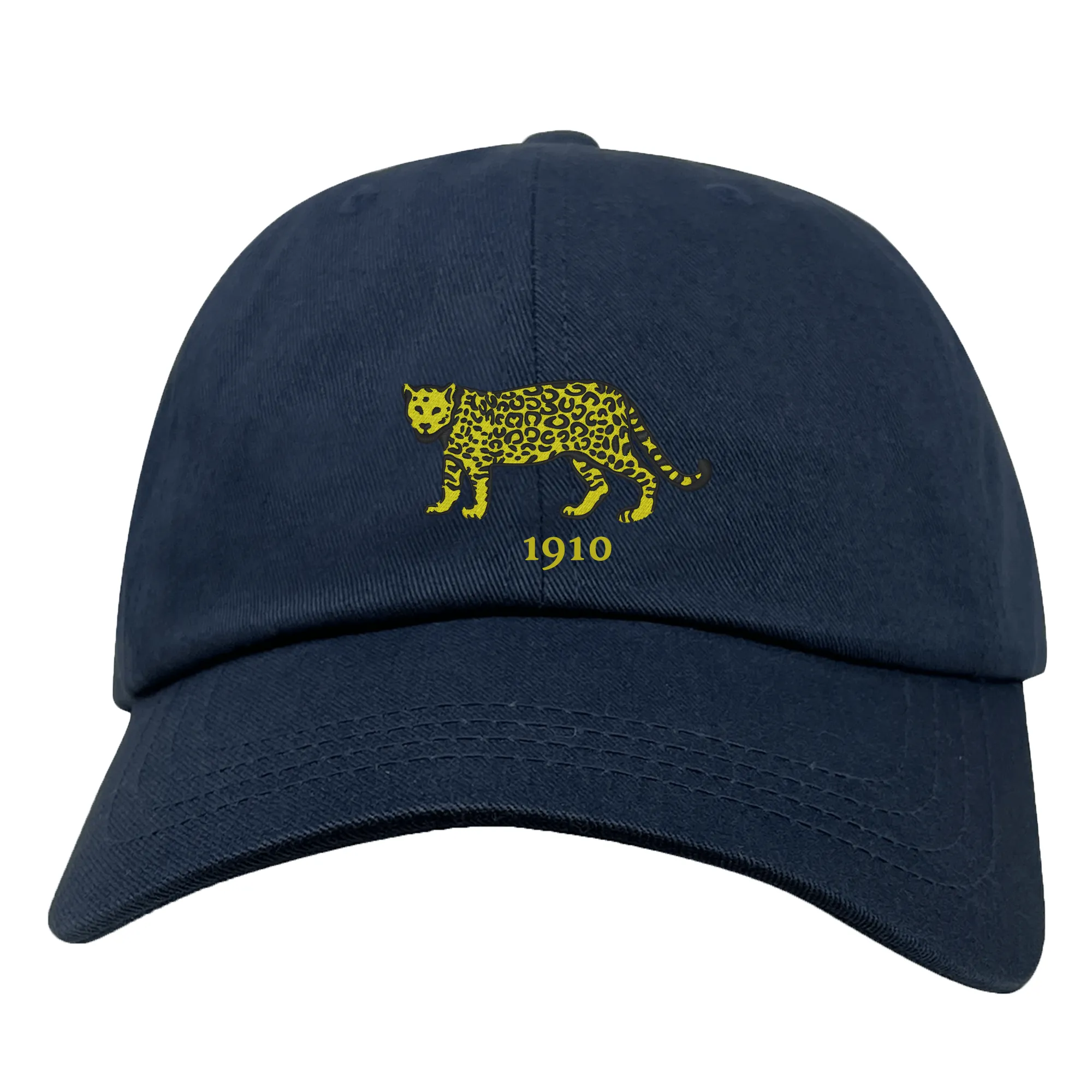 Nations of Rugby Argentina Vintage Dad Cap