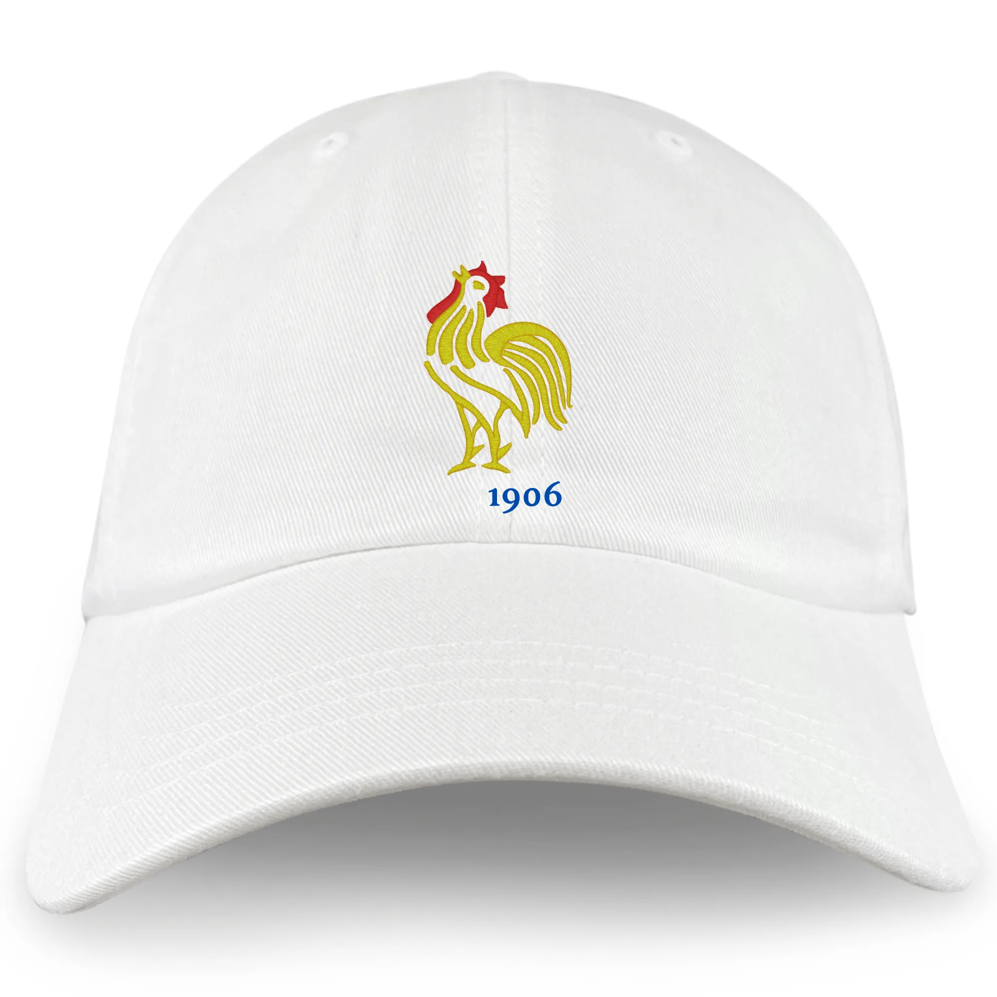 Nations of Rugby France Vintage Dad Cap