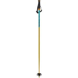 Phantastick 18mm Ski Pole 2021