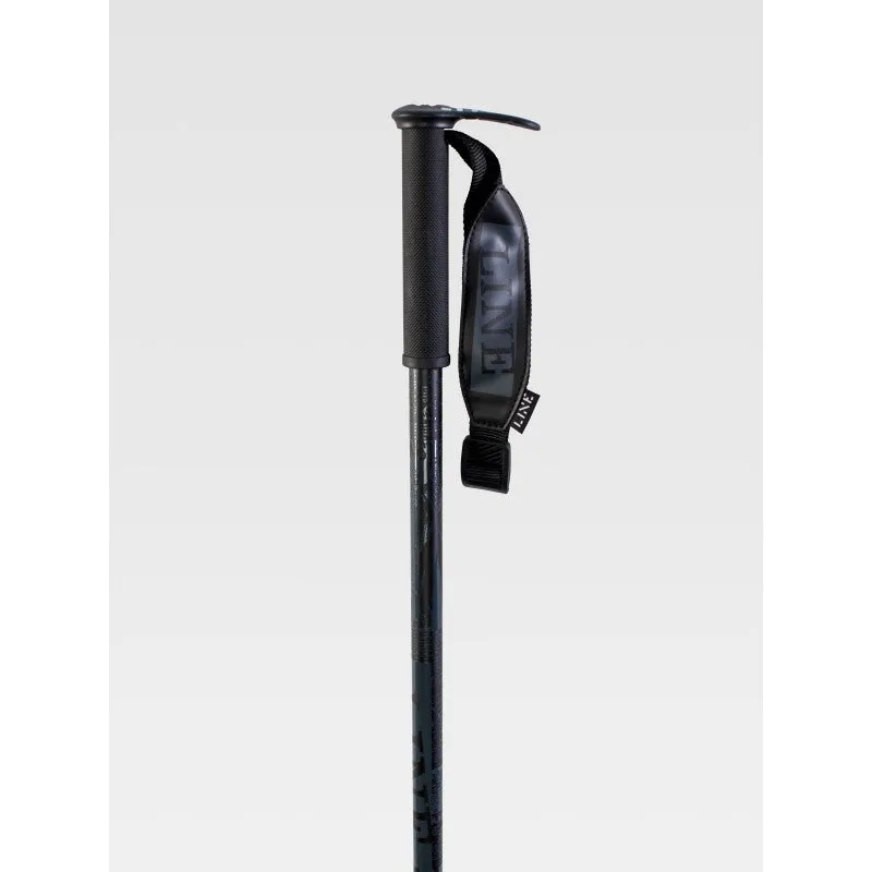 Pin Poles (2022)