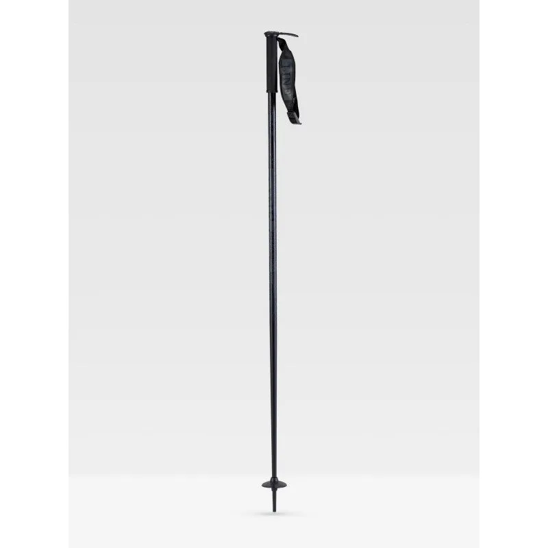 Pin Poles (2022)