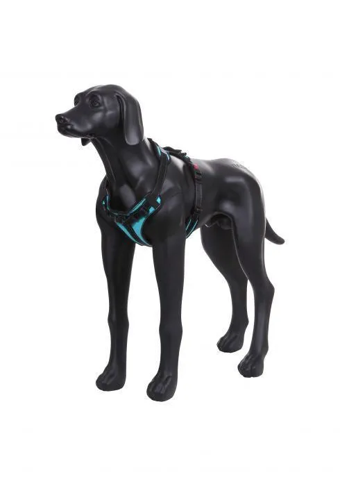 Rukka Pets Solid Adjustable Durable Adventure Dog Harness Turquoise