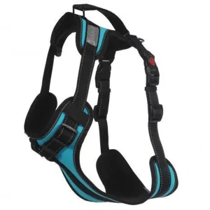 Rukka Pets Solid Adjustable Durable Adventure Dog Harness Turquoise