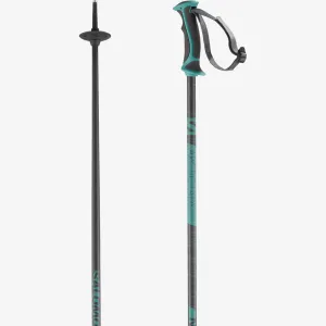 Salomon Arctic Lady Poles - Grey Green