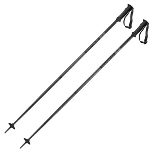Salomon Arctic Ski Pole