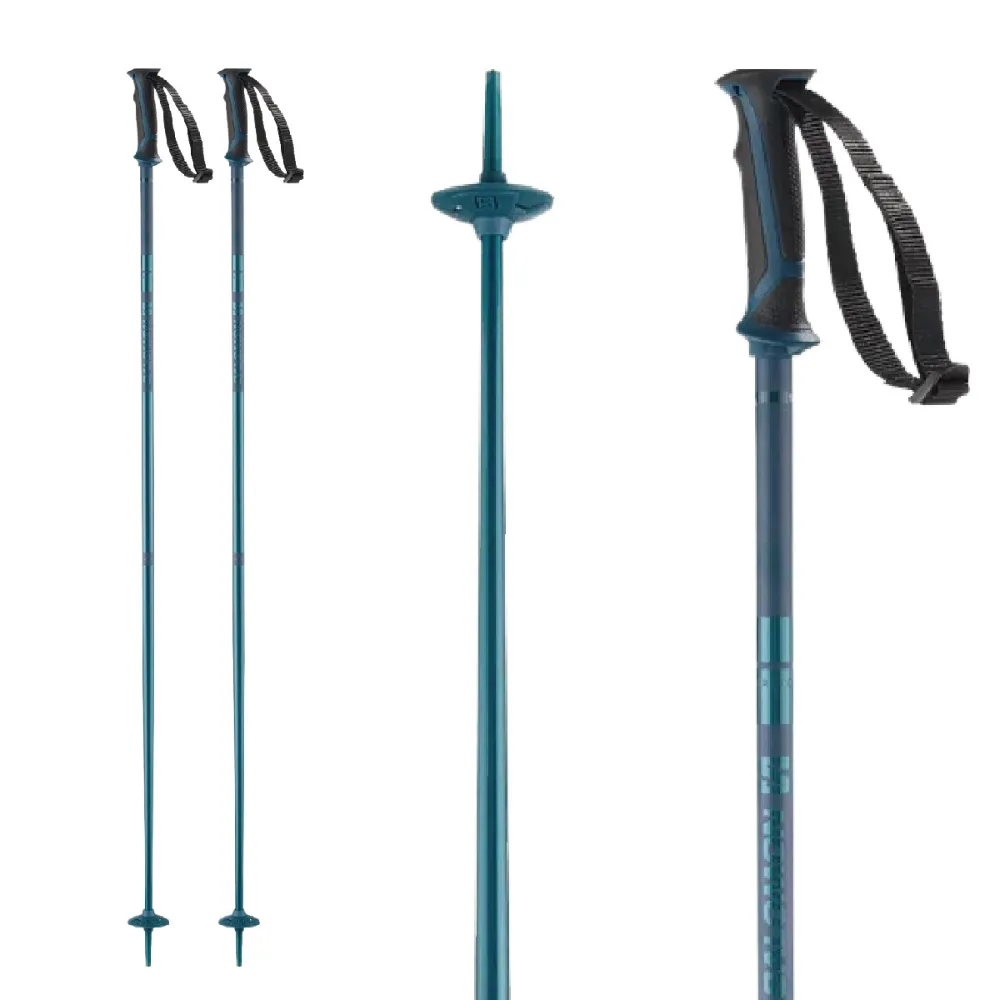 Salomon Arctic Ski Pole
