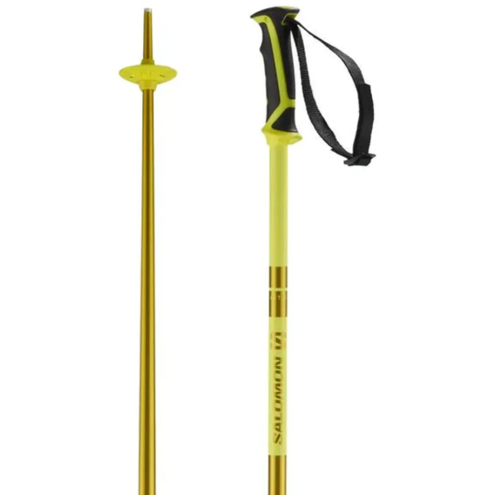 Salomon Arctic Ski Pole