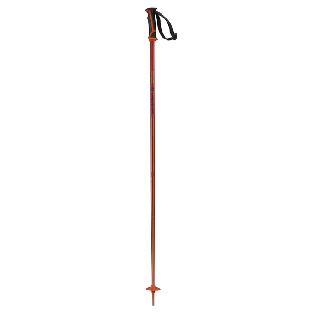 Salomon Arctic Ski Pole