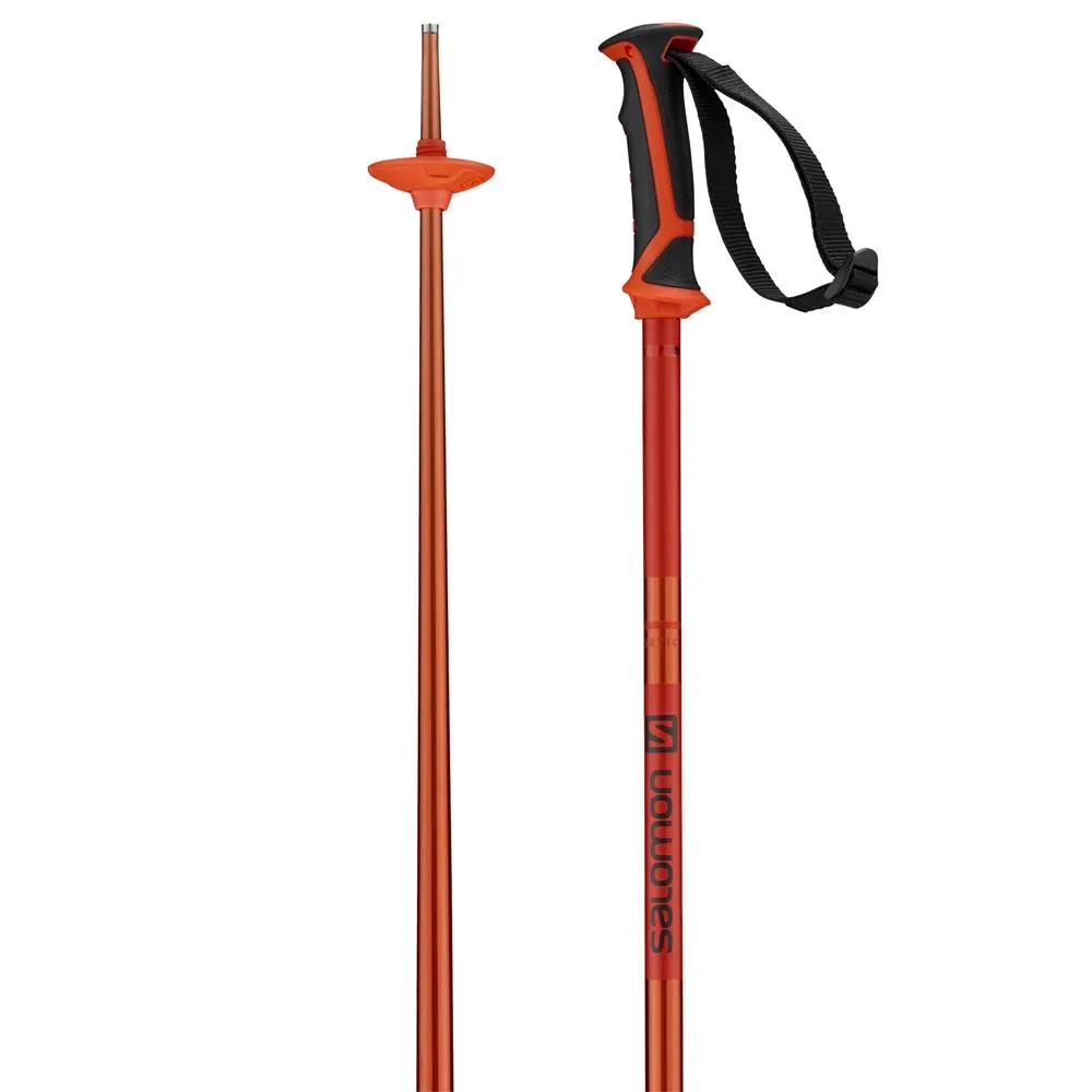 Salomon Arctic Ski Pole