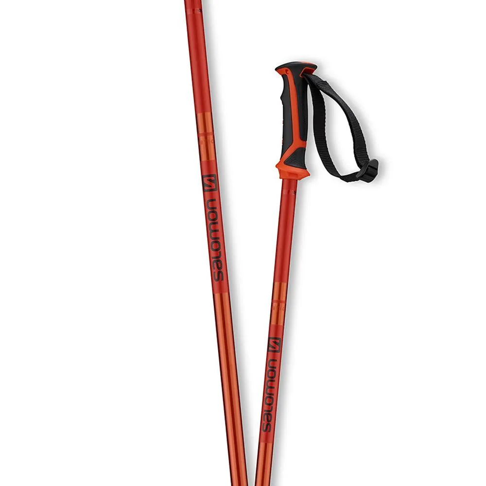 Salomon Arctic Ski Pole