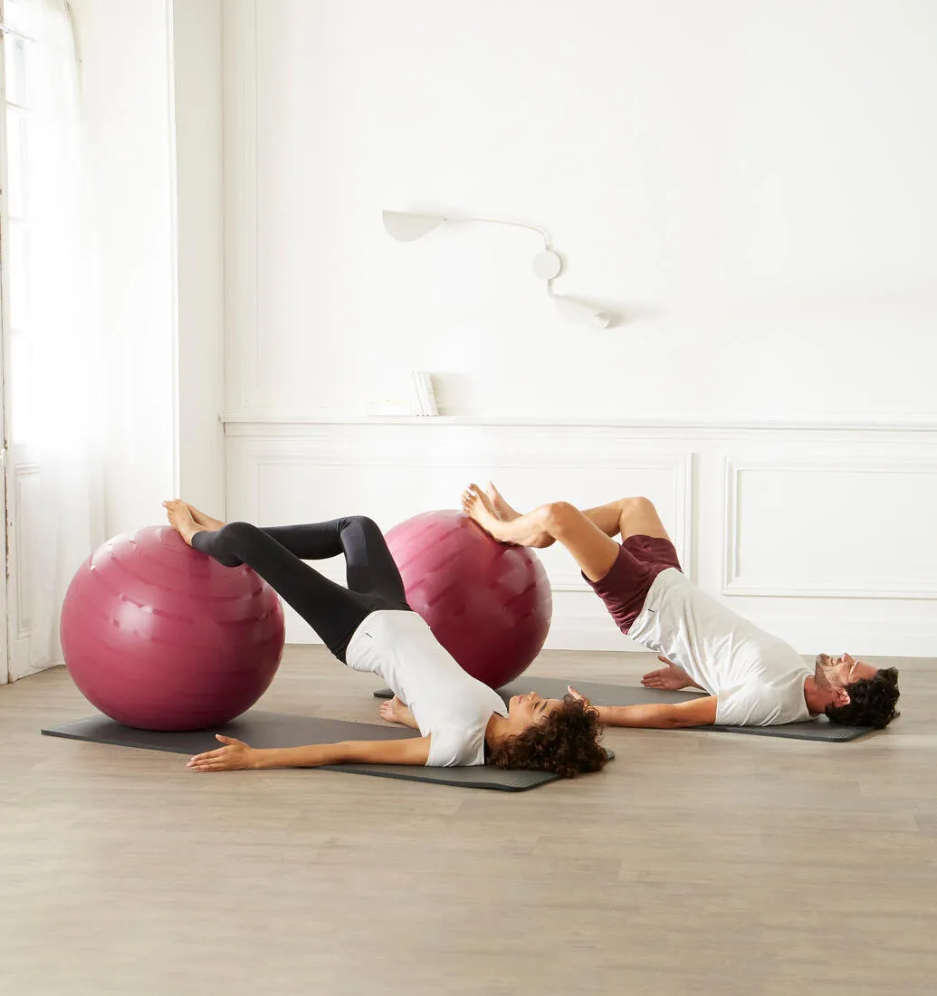 Size 2 / 65 cm Durable Swiss Ball