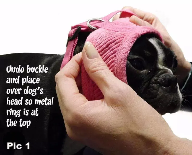 Small Dog Harness | UK Shipped | Vest