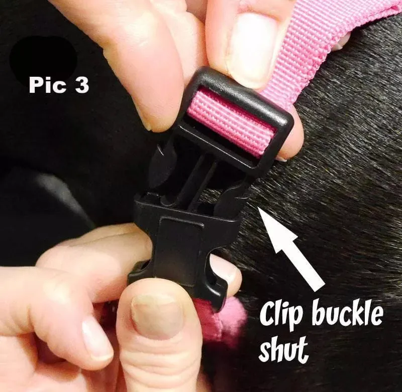 Small Dog Harness | UK Shipped | Vest