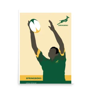 Springboks Catch Poster