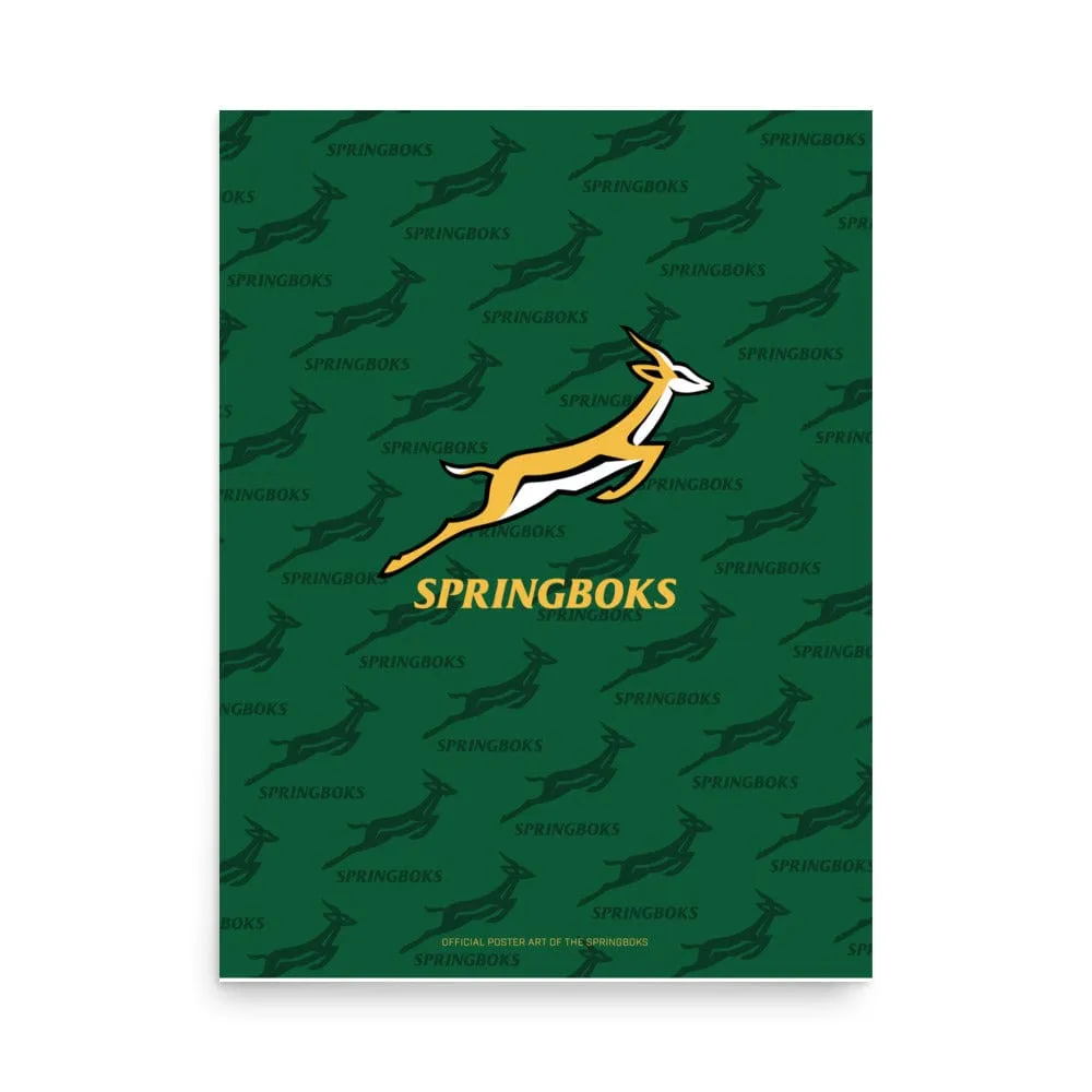 Springboks Silhouette Poster