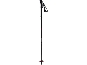 Swix Sonic R1 Adjustable Ski Pole