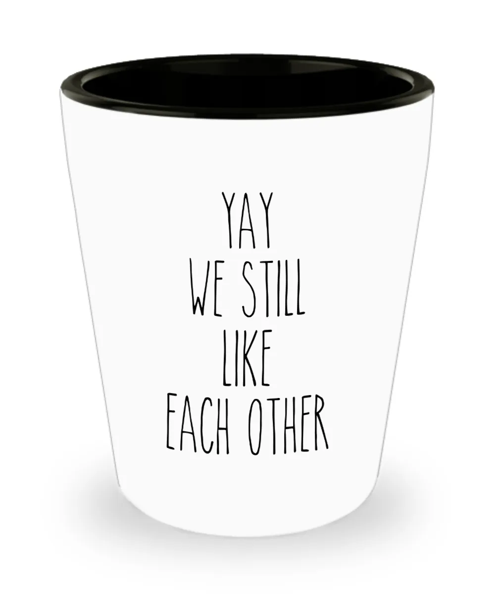 Valentine's Day Shot Glass for Boyfriend for Girlfriend We Still Like Each Other Funny Shot Glasses